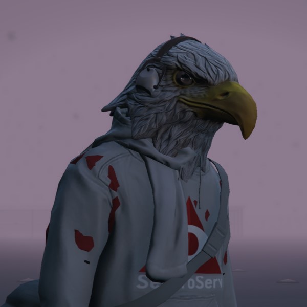 Player Avatar