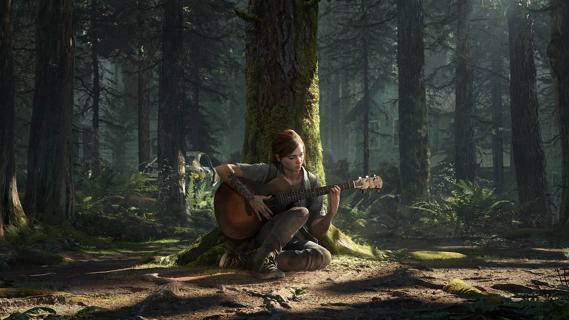 Player Banner