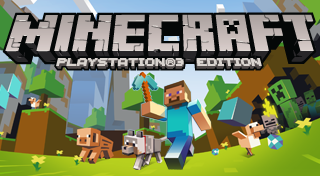 Player Banner